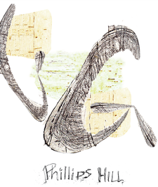 2021 Gruner Veltliner